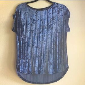 Blue velvet short sleeve top witchy fairy whimsygoth